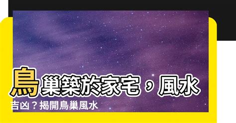 鳥築巢 風水|鳥巢風水：家居好運大提升